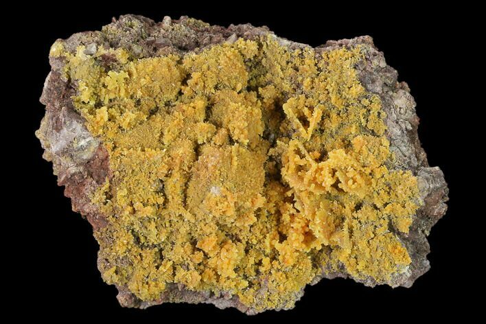 Orange Botryoidal Mimetite Formation - Mapimi, Mexico #136890